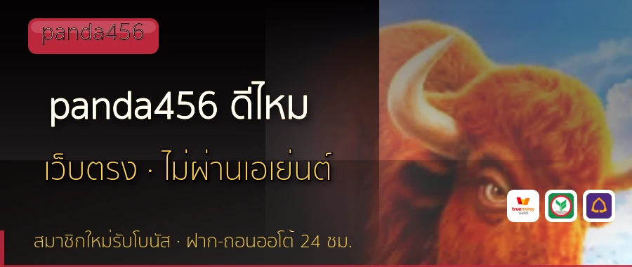 panda456 ดีไหม panda456