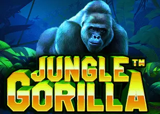 panda456 ดีไหม Jungle Gorilla ทดลองเล่นฟรี