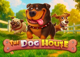 panda456 ดีไหม The Dog House ทดลองเล่นฟรี